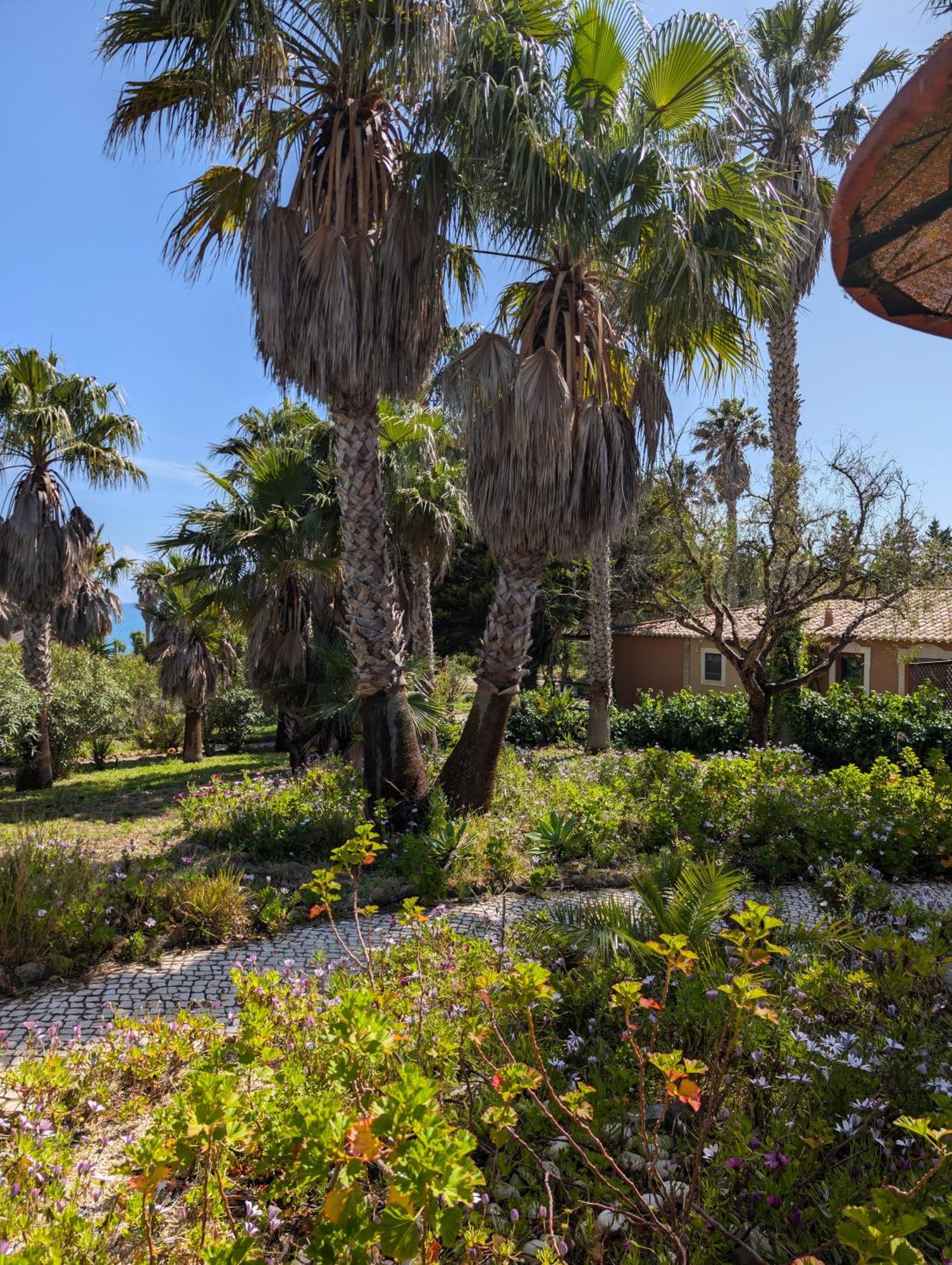 Quinta Do Mar - Country & Sea Village Luz Εξωτερικό φωτογραφία